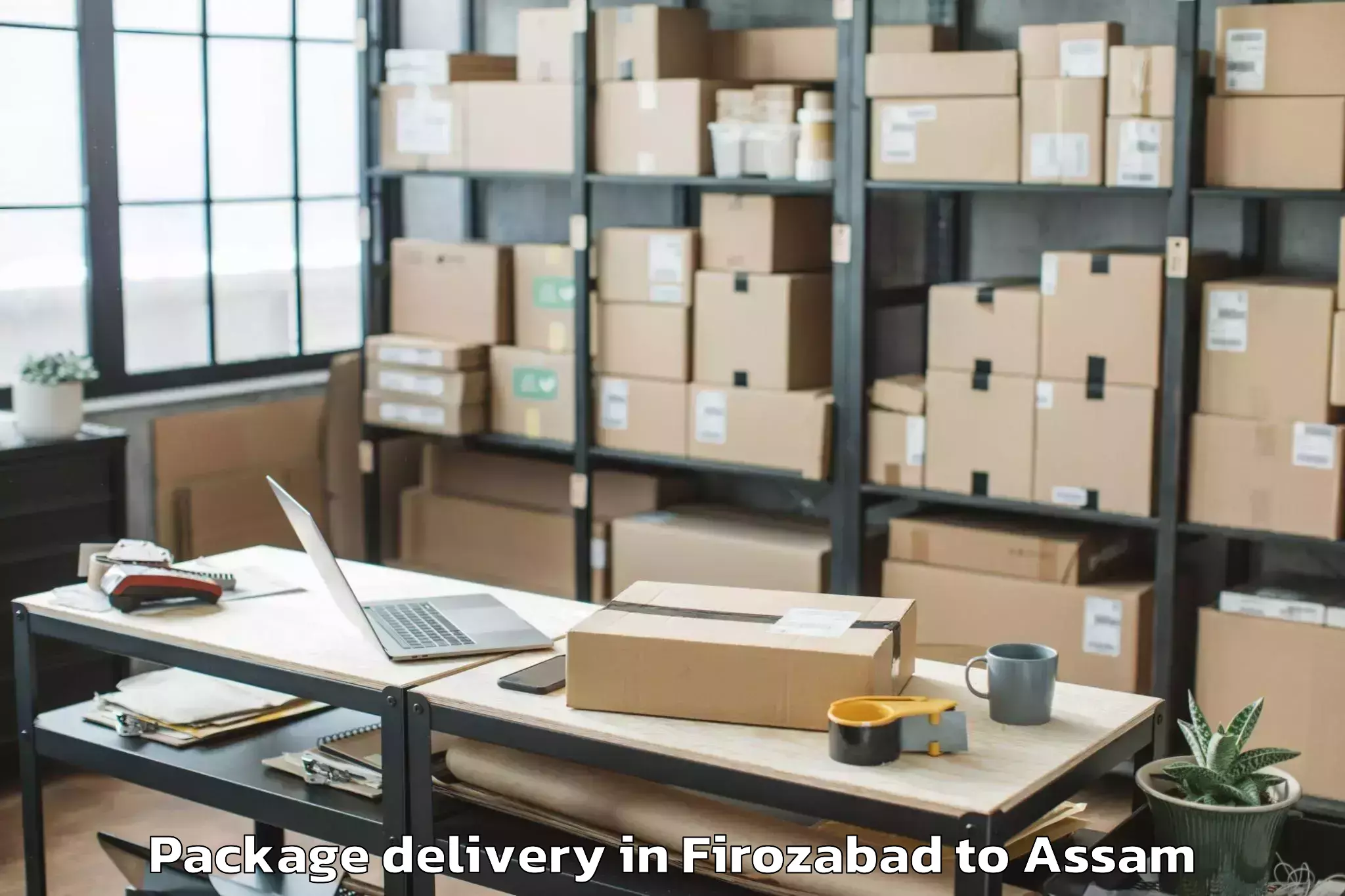 Hassle-Free Firozabad to Samaguri Package Delivery